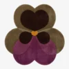 Full top-down product isolated shot of the flower-shaped Plum Orchid area rug featuring an organic botanical petal design in shades of plum purple, deep chocolate brown, olive green, and an orange center heart accent.