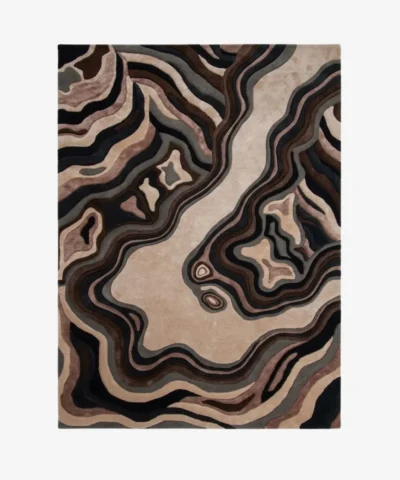 Full top-down product isolated shot of the rectangular Shadow Canyon area rug featuring a complex, fluid topographical map design in layers of beige, brown, charcoal, and black.