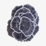 Inkwave floral abstract shaped tufted area rug displayed flat against a clean white background.