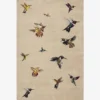 Flat-lay top view of the Hummingbird Haven handmade tufted area rug featuring a neutral beige background scattered with colorful embroidered hummingbird motifs.
